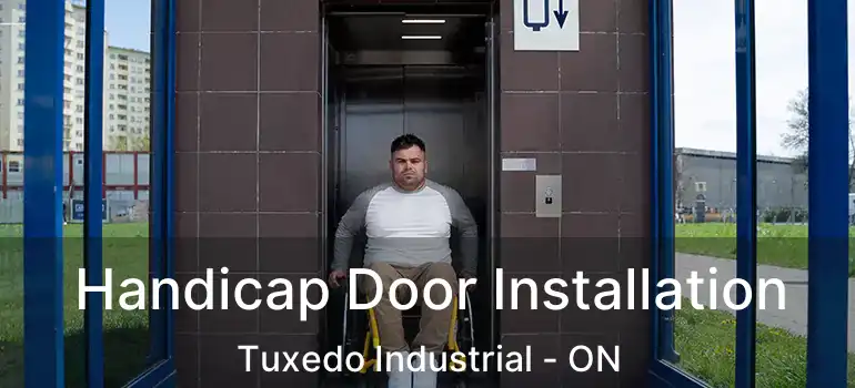  Handicap Door Installation Tuxedo Industrial - ON