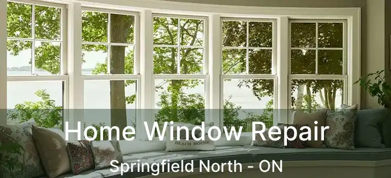  Home Window Repair Springfield North - ON