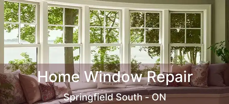  Home Window Repair Springfield South - ON