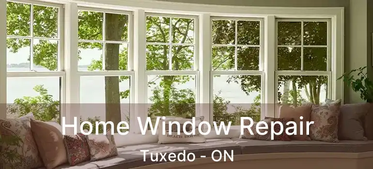 Home Window Repair Tuxedo - ON