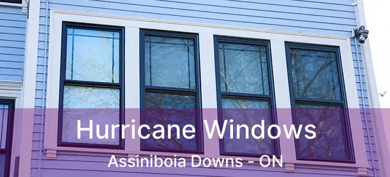  Hurricane Windows Assiniboia Downs - ON