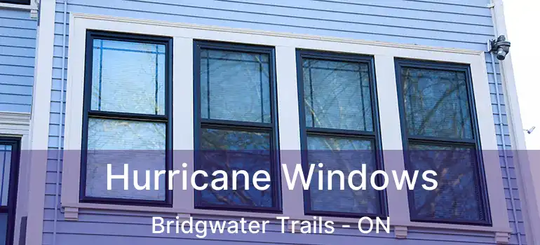  Hurricane Windows Bridgwater Trails - ON