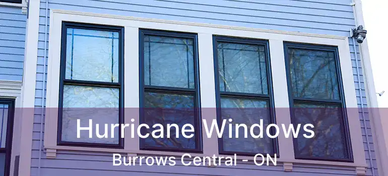  Hurricane Windows Burrows Central - ON