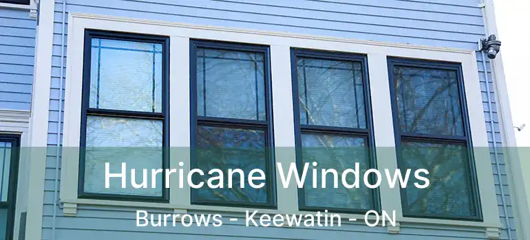  Hurricane Windows Burrows - Keewatin - ON
