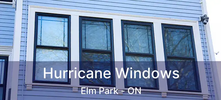  Hurricane Windows Elm Park - ON