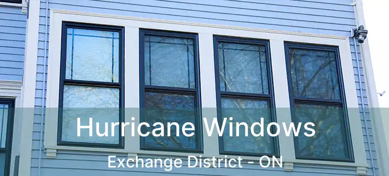  Hurricane Windows Exchange District - ON