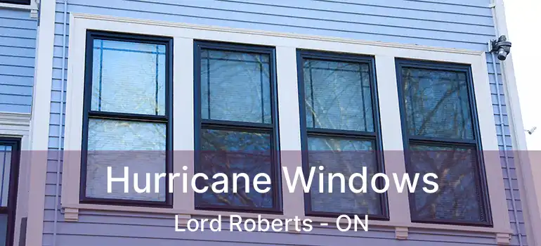  Hurricane Windows Lord Roberts - ON