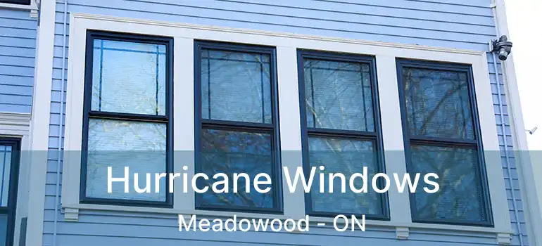  Hurricane Windows Meadowood - ON
