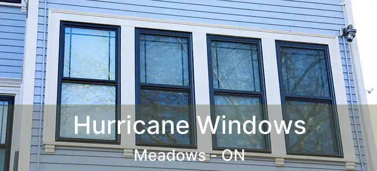  Hurricane Windows Meadows - ON