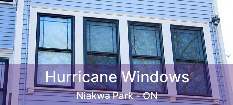  Hurricane Windows Niakwa Park - ON
