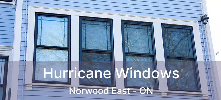  Hurricane Windows Norwood East - ON