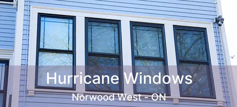  Hurricane Windows Norwood West - ON