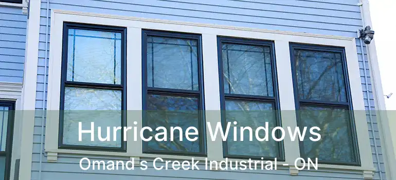  Hurricane Windows Omand s Creek Industrial - ON
