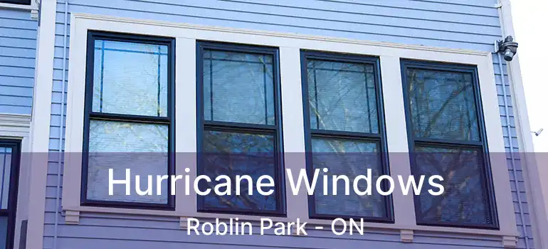  Hurricane Windows Roblin Park - ON