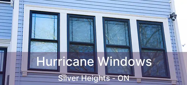  Hurricane Windows Silver Heights - ON