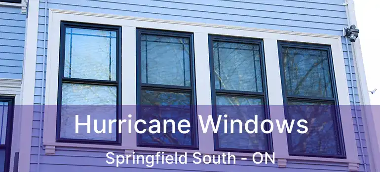  Hurricane Windows Springfield South - ON