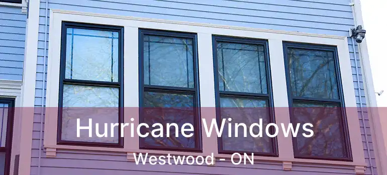  Hurricane Windows Westwood - ON