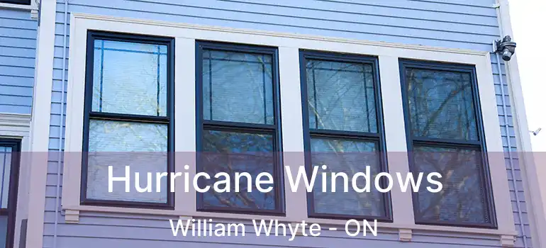  Hurricane Windows William Whyte - ON