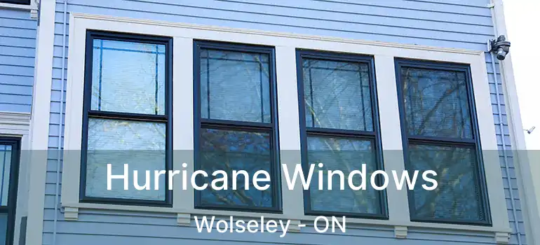  Hurricane Windows Wolseley - ON