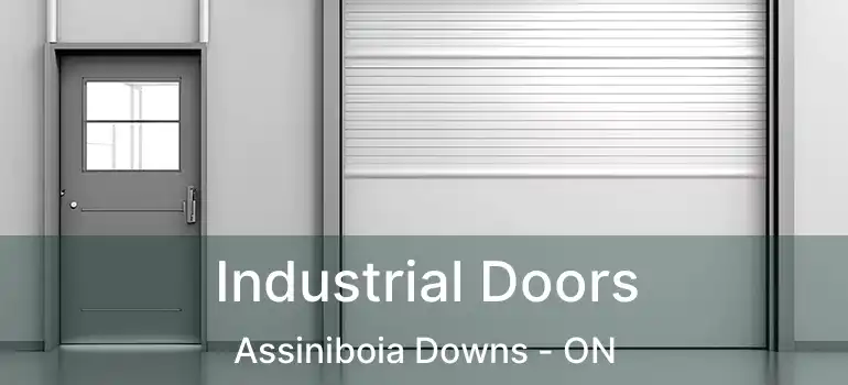  Industrial Doors Assiniboia Downs - ON