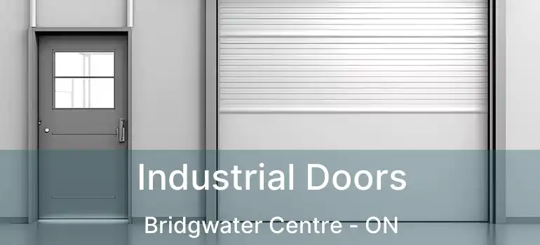  Industrial Doors Bridgwater Centre - ON