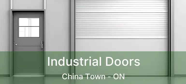  Industrial Doors China Town - ON