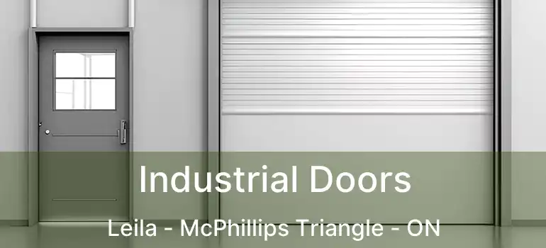  Industrial Doors Leila - McPhillips Triangle - ON