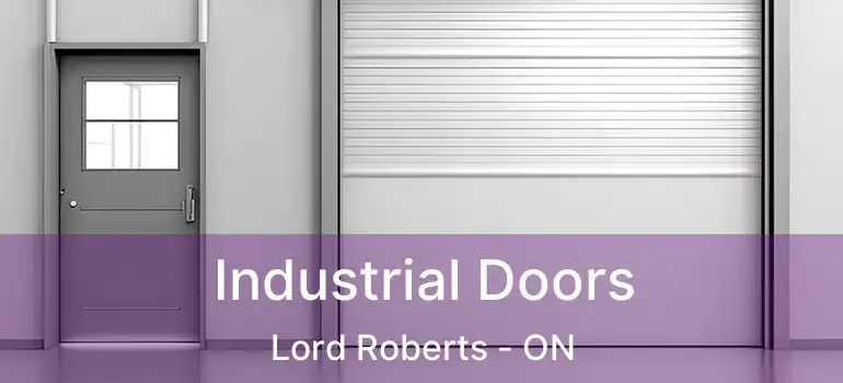  Industrial Doors Lord Roberts - ON