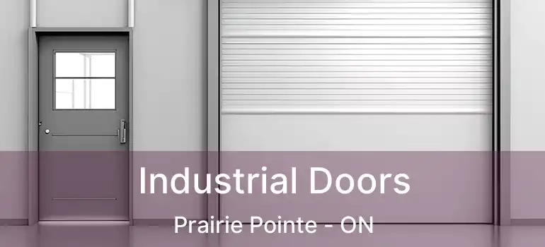  Industrial Doors Prairie Pointe - ON