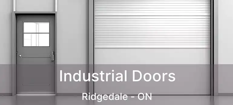  Industrial Doors Ridgedale - ON