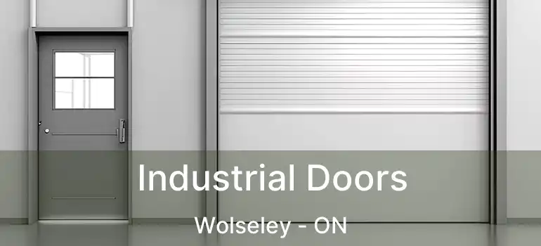  Industrial Doors Wolseley - ON