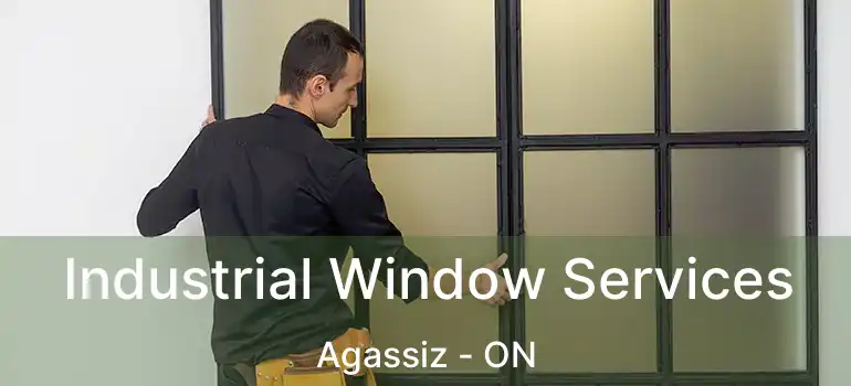  Industrial Window Services Agassiz - ON