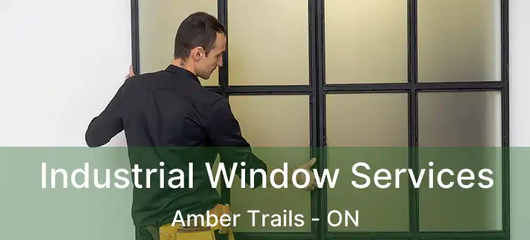  Industrial Window Services Amber Trails - ON