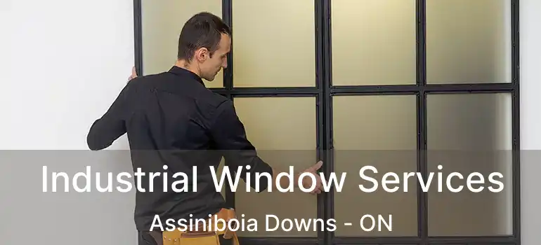  Industrial Window Services Assiniboia Downs - ON