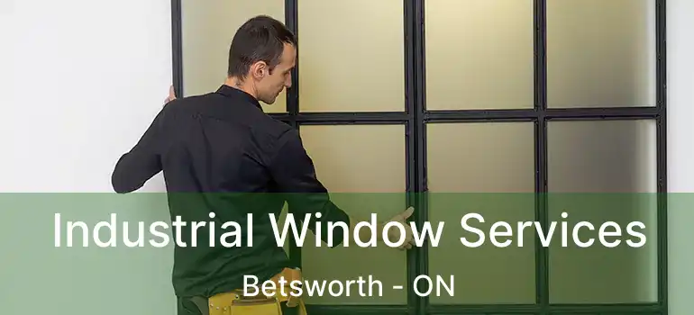  Industrial Window Services Betsworth - ON