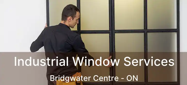  Industrial Window Services Bridgwater Centre - ON