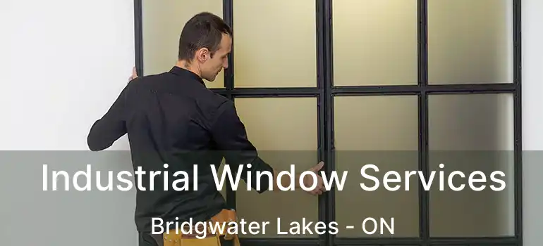  Industrial Window Services Bridgwater Lakes - ON