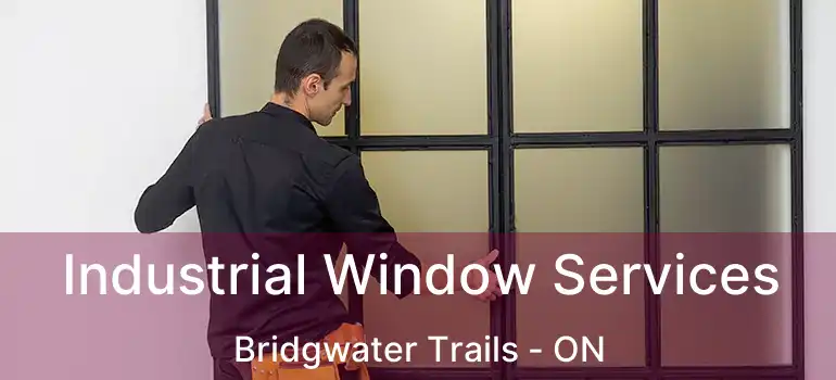  Industrial Window Services Bridgwater Trails - ON