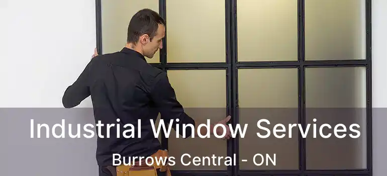  Industrial Window Services Burrows Central - ON