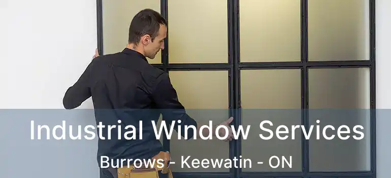  Industrial Window Services Burrows - Keewatin - ON