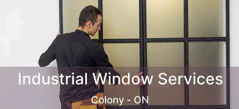  Industrial Window Services Colony - ON