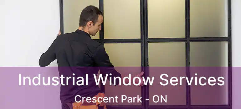  Industrial Window Services Crescent Park - ON