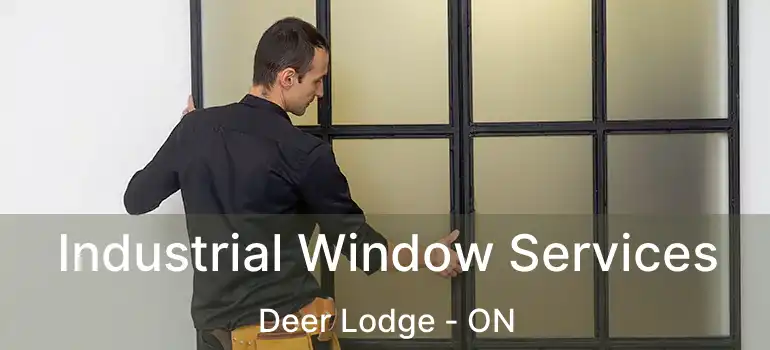  Industrial Window Services Deer Lodge - ON