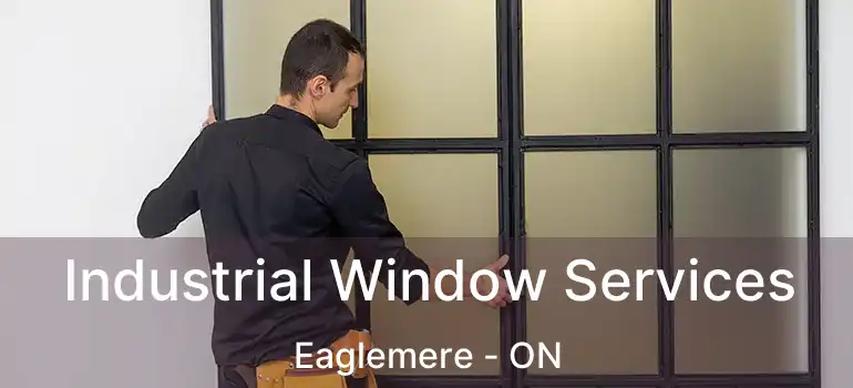  Industrial Window Services Eaglemere - ON