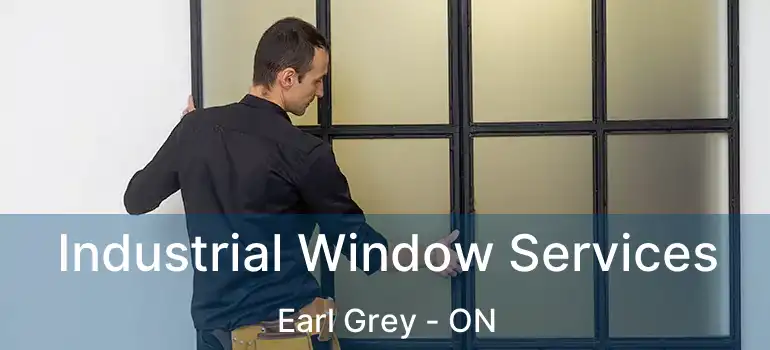  Industrial Window Services Earl Grey - ON