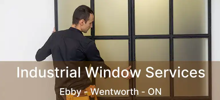  Industrial Window Services Ebby - Wentworth - ON