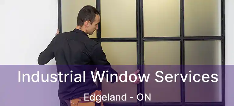  Industrial Window Services Edgeland - ON