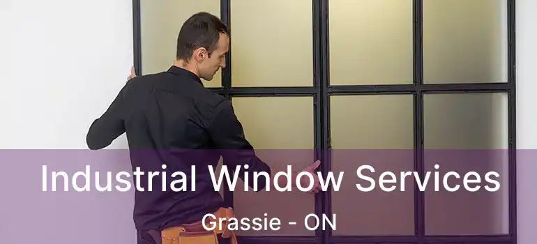  Industrial Window Services Grassie - ON