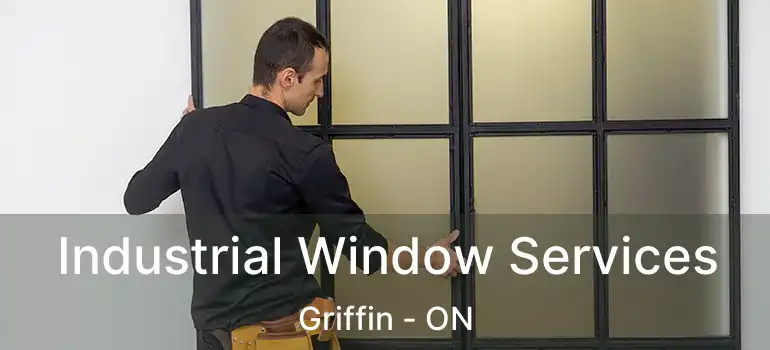  Industrial Window Services Griffin - ON