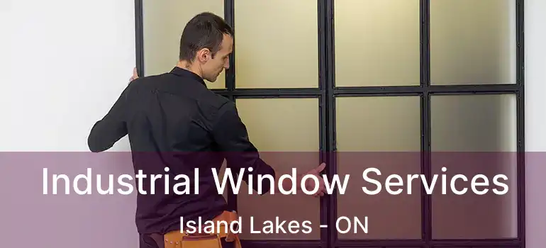  Industrial Window Services Island Lakes - ON